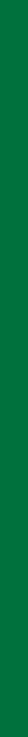 Decorative vertical green bar with no informational content